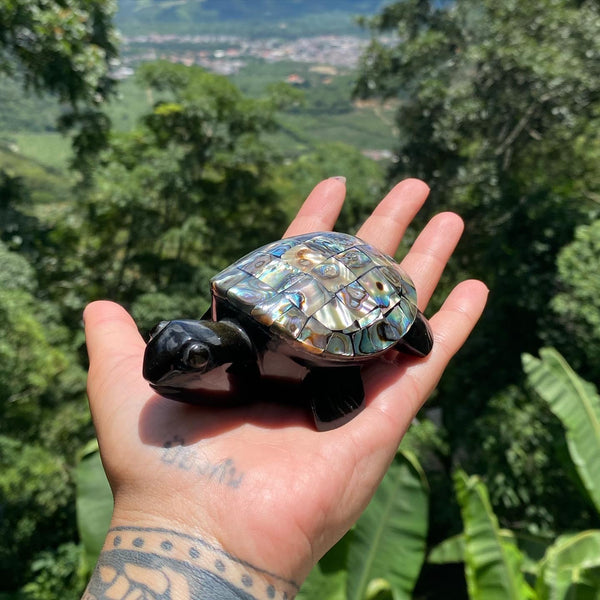 Obsidian Turtles